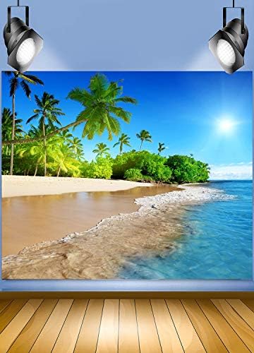 Trópusi Tengerparti Strand Hátteret FHZON 6x6ft Trópusi Hawaii Szigetén pálmafák, Napsütötte Kék Tenger Fotó Háttér