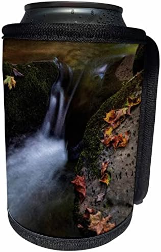 3dRose Közeli hegyi patak ősszel - Lehet Hűvösebb Üveg Wrap (cc_351729_1)